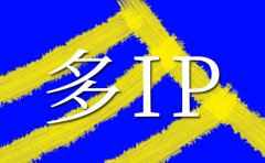 服務(wù)器租用|美國多ip站群如何選擇以及能做什